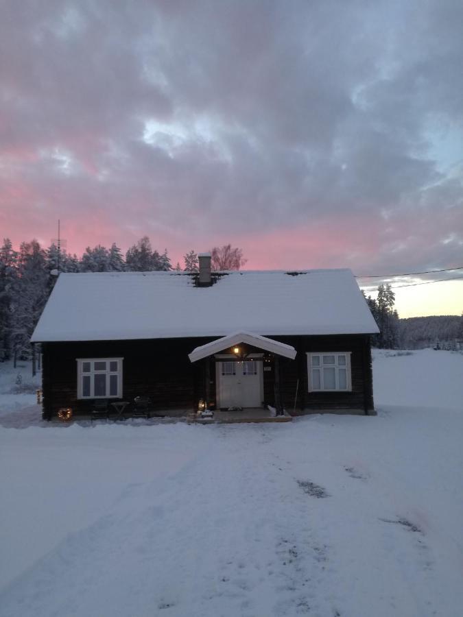 Presterudveien 125 Vikersund エクステリア 写真