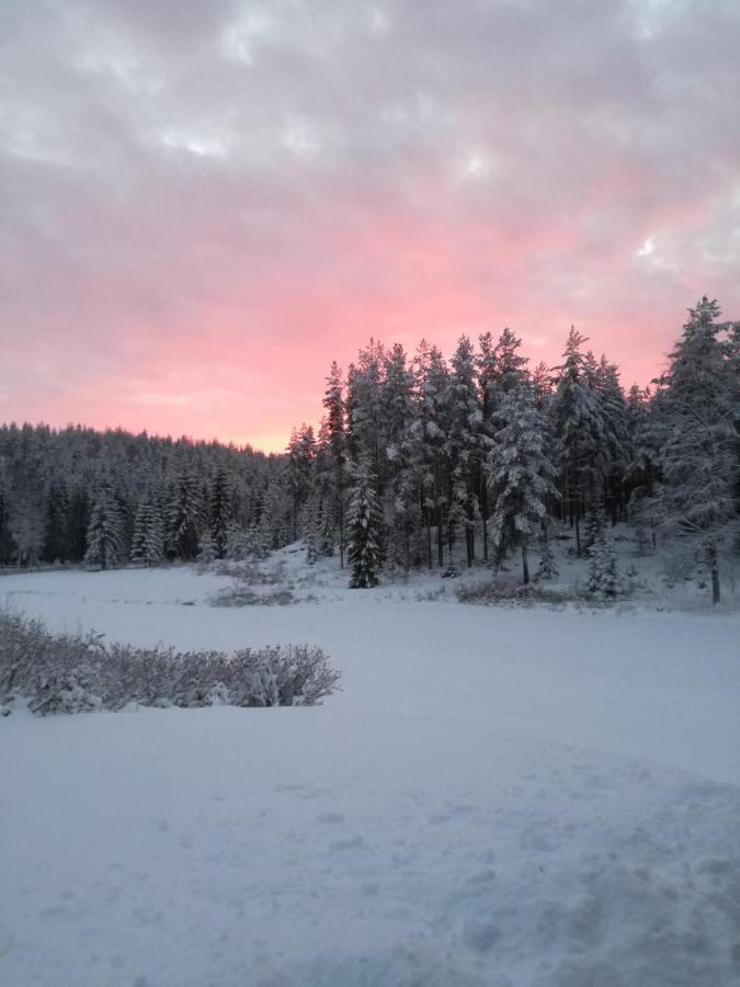 Presterudveien 125 Vikersund エクステリア 写真