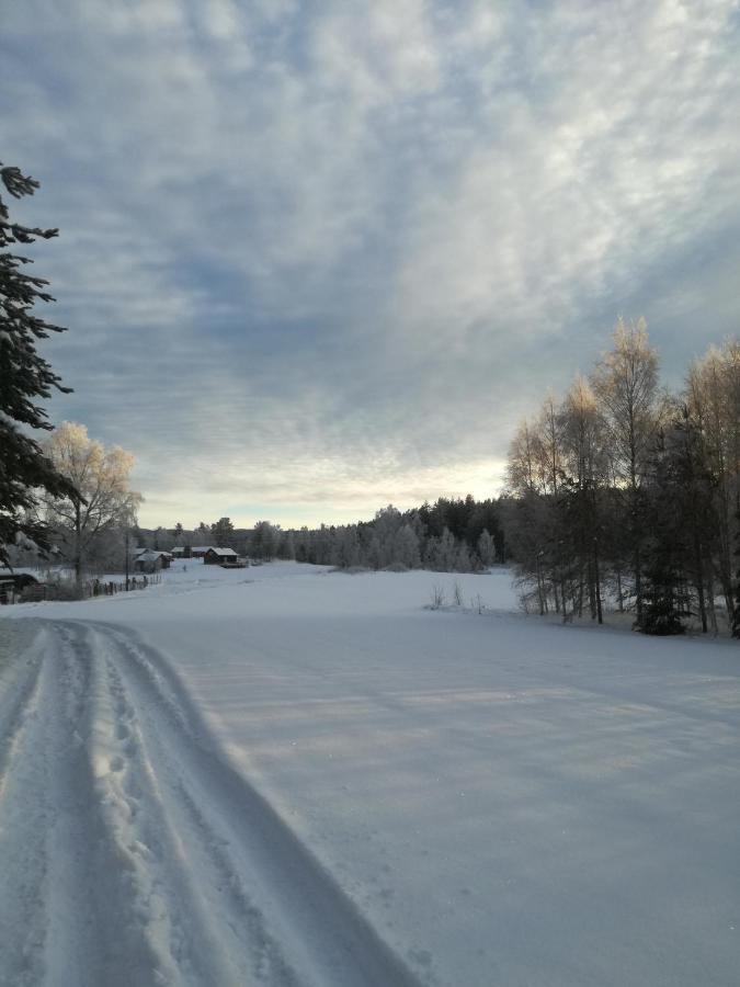 Presterudveien 125 Vikersund エクステリア 写真