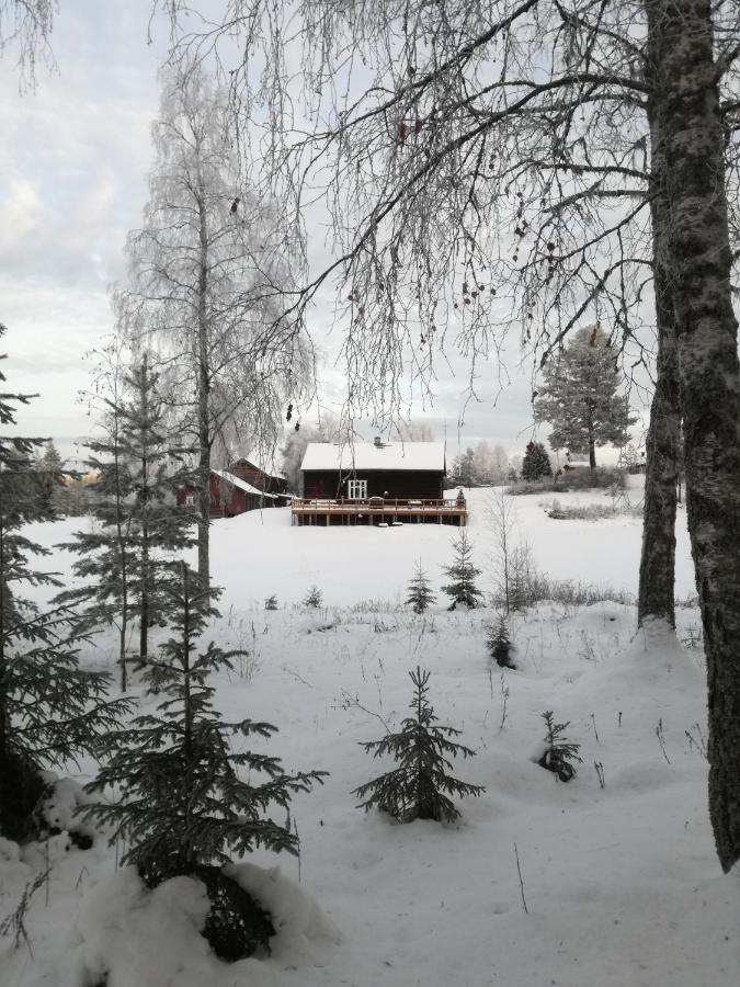 Presterudveien 125 Vikersund エクステリア 写真