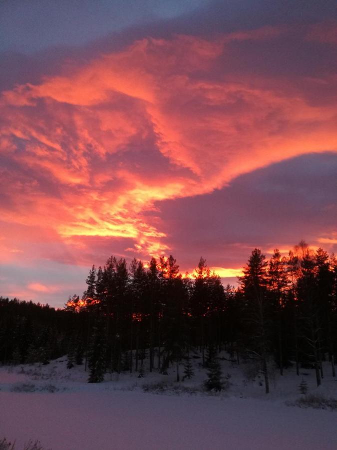 Presterudveien 125 Vikersund エクステリア 写真