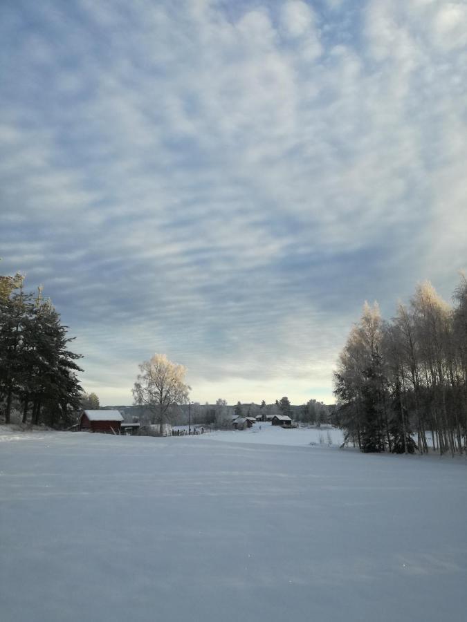 Presterudveien 125 Vikersund エクステリア 写真